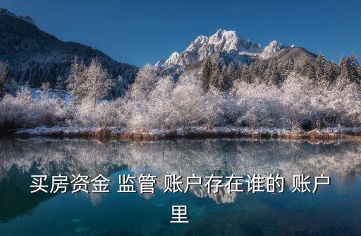 銀行監(jiān)管賬戶協議,銀行資金監(jiān)管賬戶是什么意思