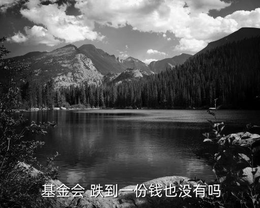  基金會(huì) 跌到一份錢也沒(méi)有嗎