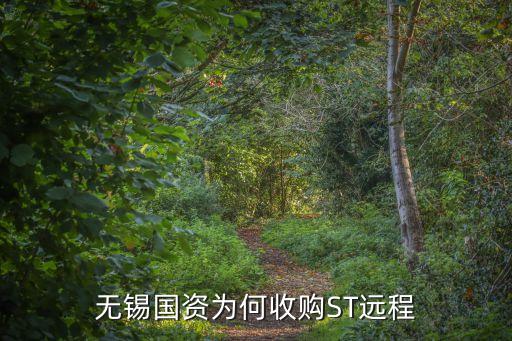 無錫國資為何收購ST遠(yuǎn)程