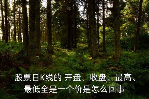  股票日K線的 開盤、收盤、最高、最低全是一個(gè)價(jià)是怎么回事