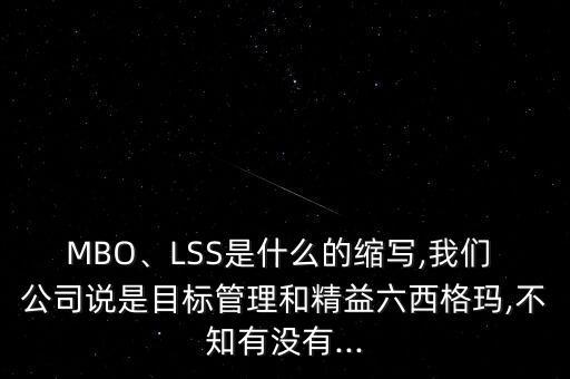 MBO、LSS是什么的縮寫,我們 公司說是目標管理和精益六西格瑪,不知有沒有...