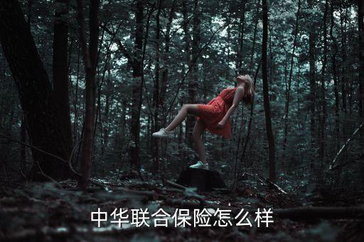 中華聯(lián)合保險(xiǎn)怎么樣