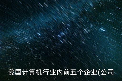 我國計算機行業(yè)內前五個企業(yè)(公司