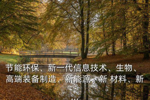 節(jié)能環(huán)保、新一代信息技術(shù)、生物、 高端裝備制造、新能源、新 材料、新...