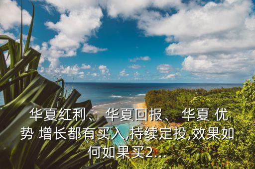  華夏紅利、 華夏回報、 華夏 優(yōu)勢 增長都有買入,持續(xù)定投,效果如何如果買2...