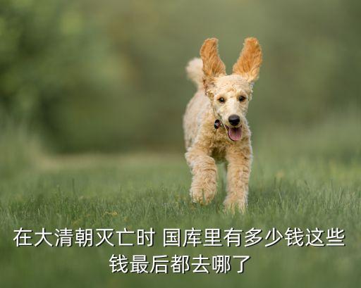 在大清朝滅亡時(shí) 國(guó)庫(kù)里有多少錢(qián)這些錢(qián)最后都去哪了