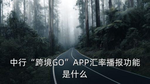 中國(guó)銀行股票每日行情,股票002142每日行情