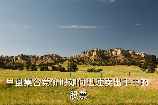 早盤(pán)集合競(jìng)價(jià)時(shí)如何迅速賣(mài)出手中的 股票